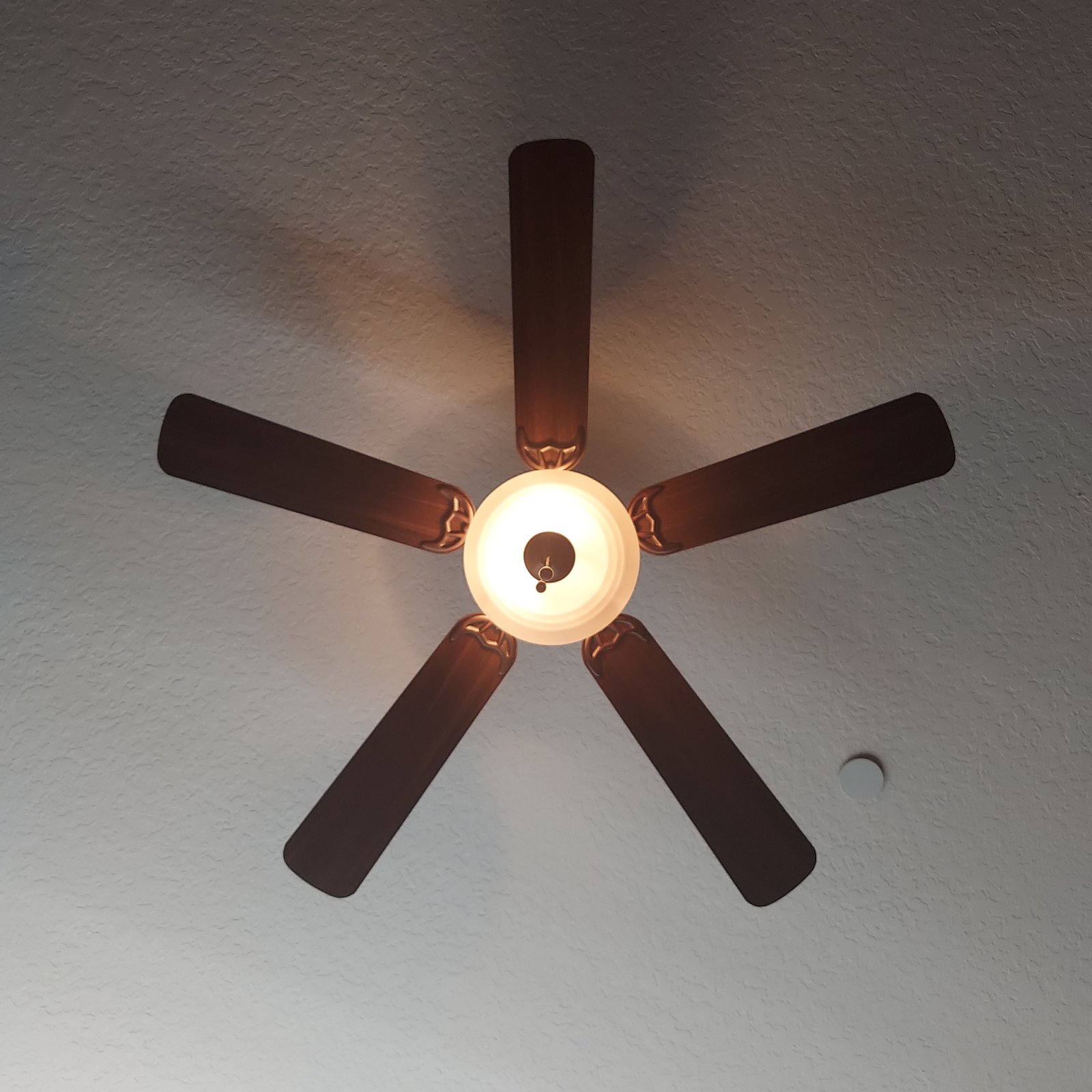 Licensed Electrician Installing Ceiling Fan in Boise, ID